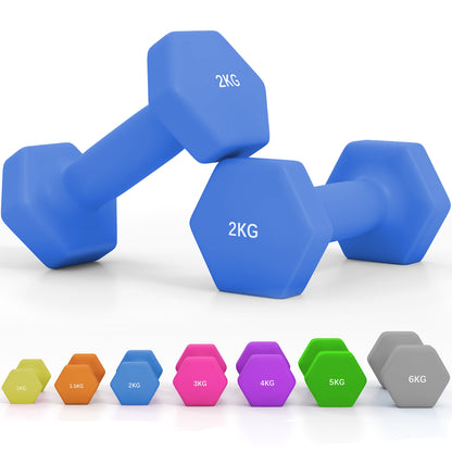 Set of 2 Dumbbells, Hexagonal Weights Pair, 2 X 6Kg, Grey