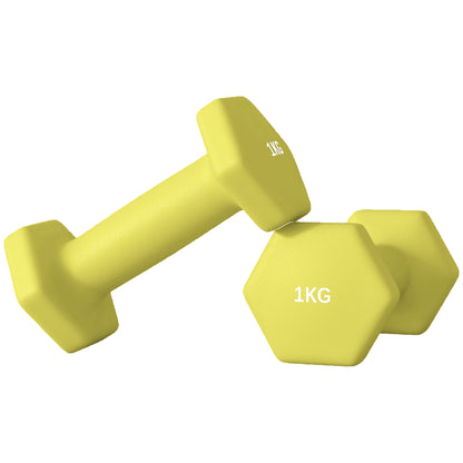 Set of 2 Dumbbells, Hexagonal Weights Pair, 2 X 6Kg, Grey