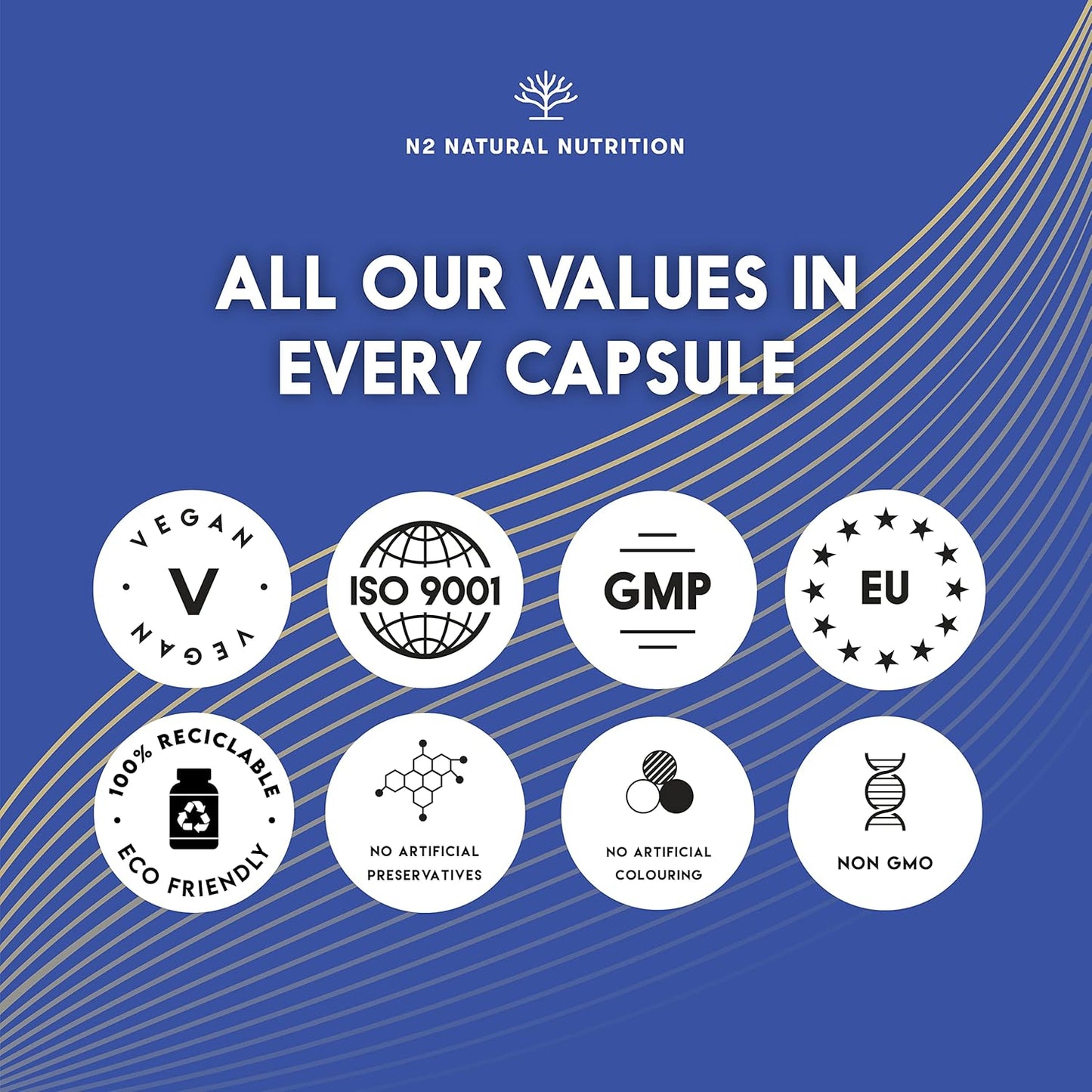 L-CARNITINE 1500 Capsules High Strength. Enhanced Performance. 120 Plant-Based Capsules Definition Phase. Vegan Certified. EU